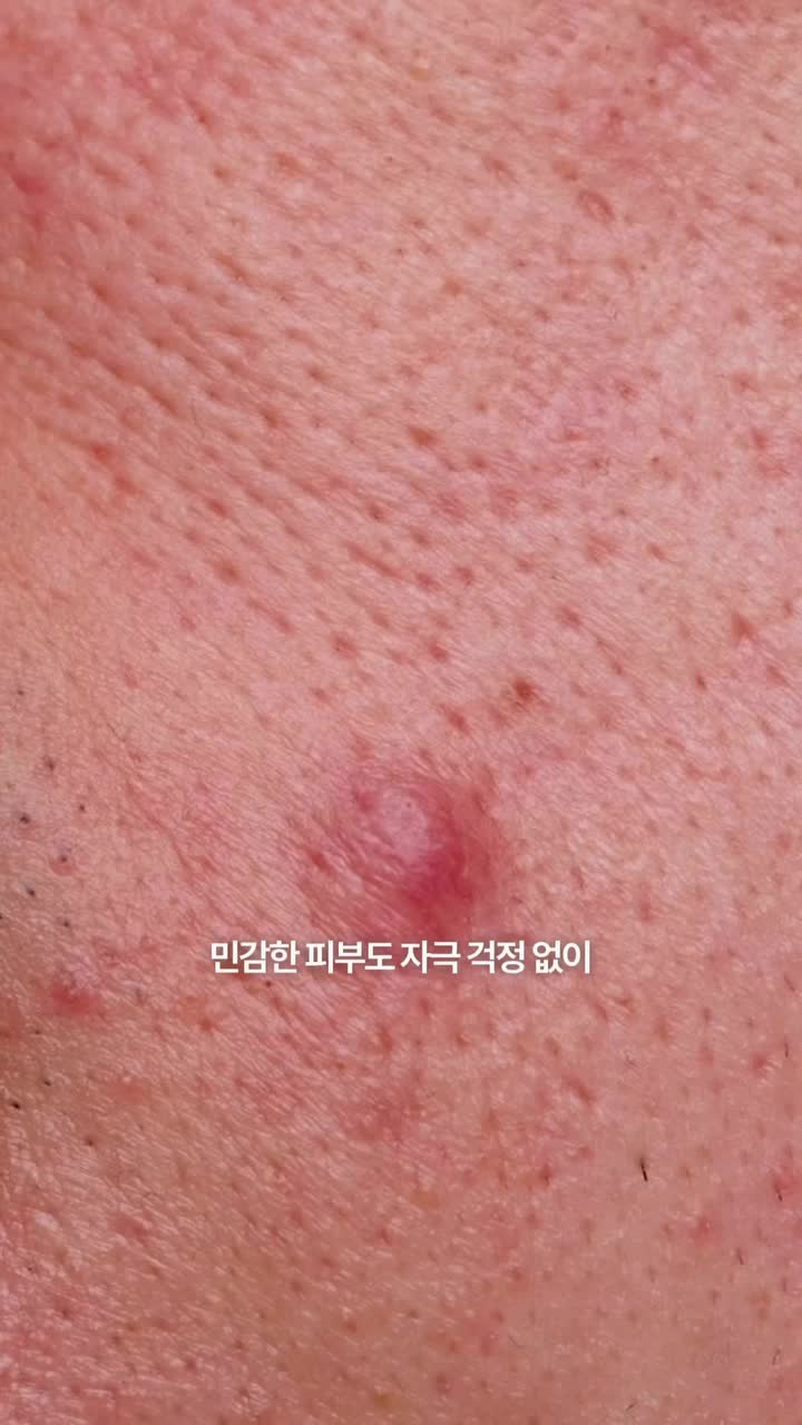 theordinarykorea 品牌动态