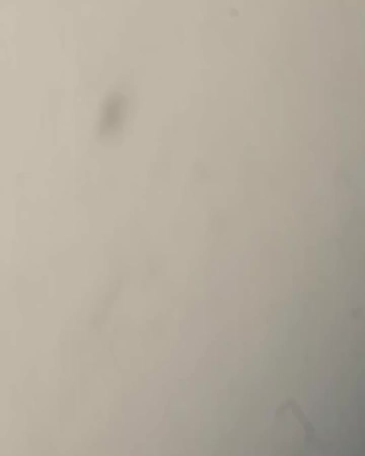 theordinarykorea 视频封面