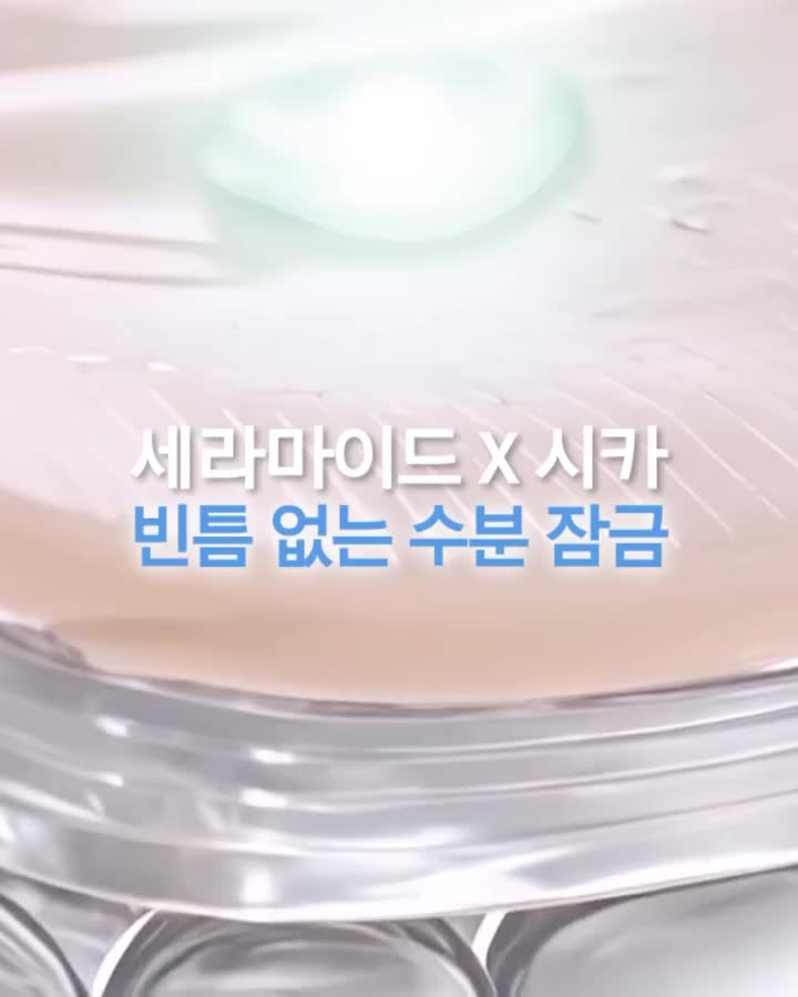 primera.official 视频封面