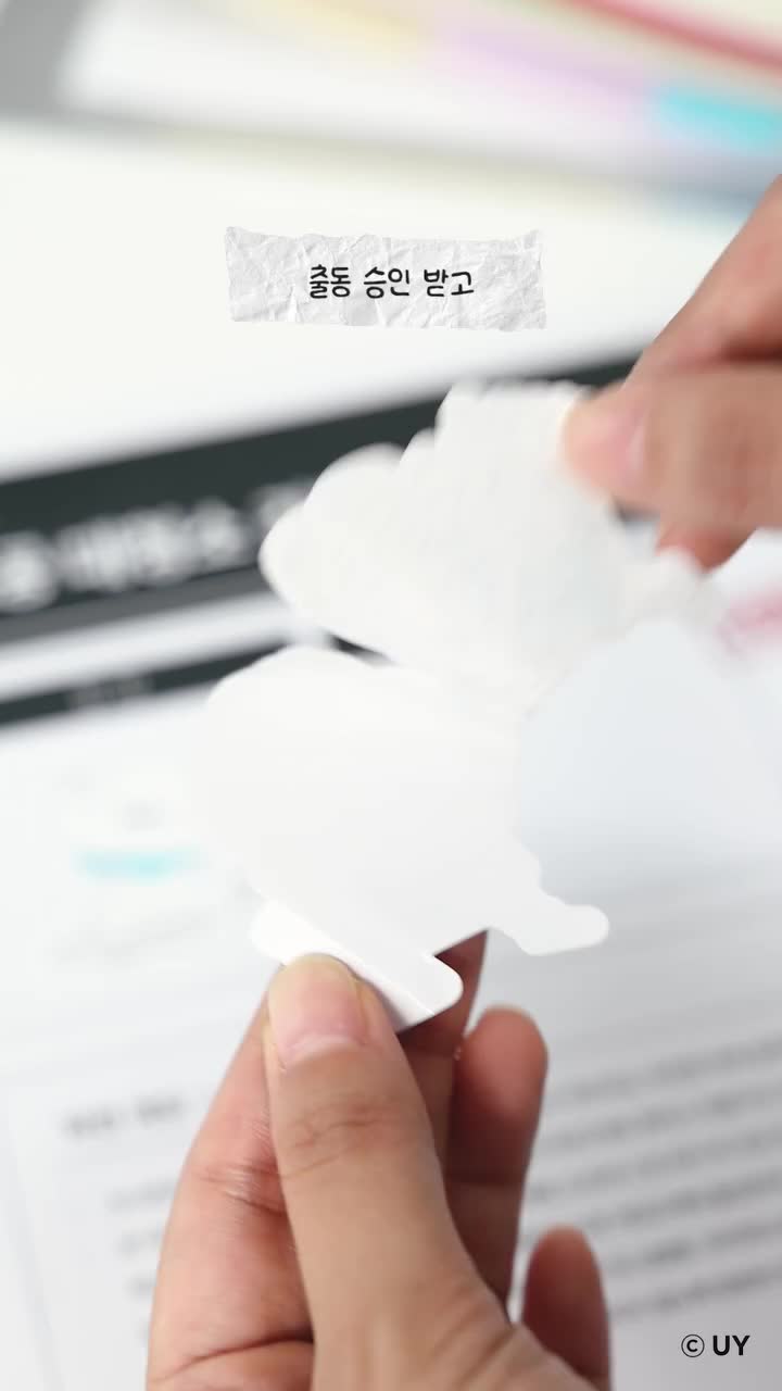 ilso_official 品牌动态
