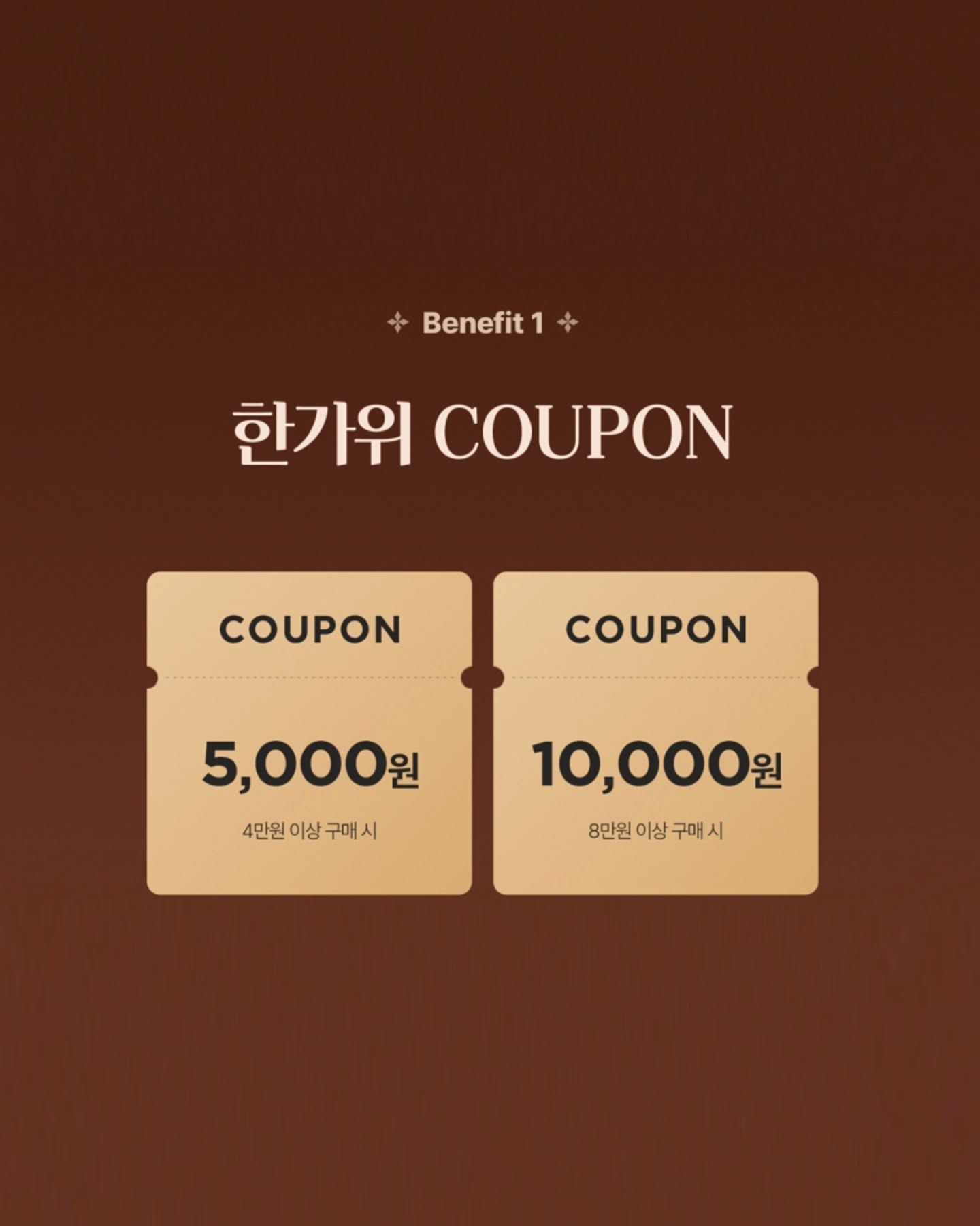 milkbaobab_official 品牌动态图片