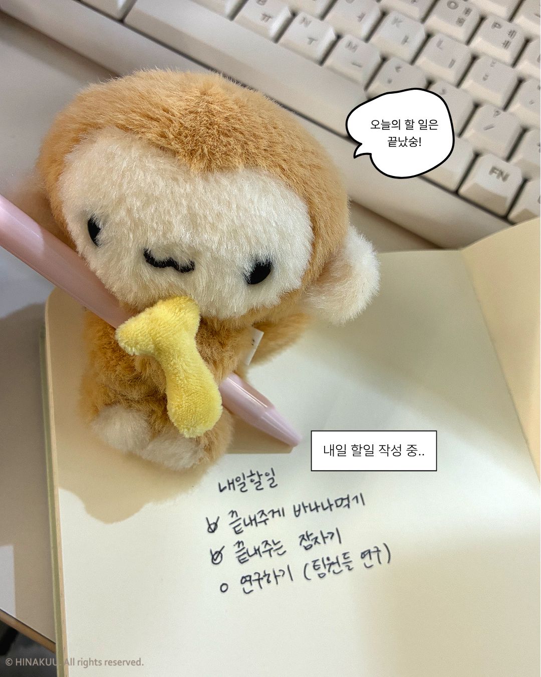 isoi_official 品牌动态图片