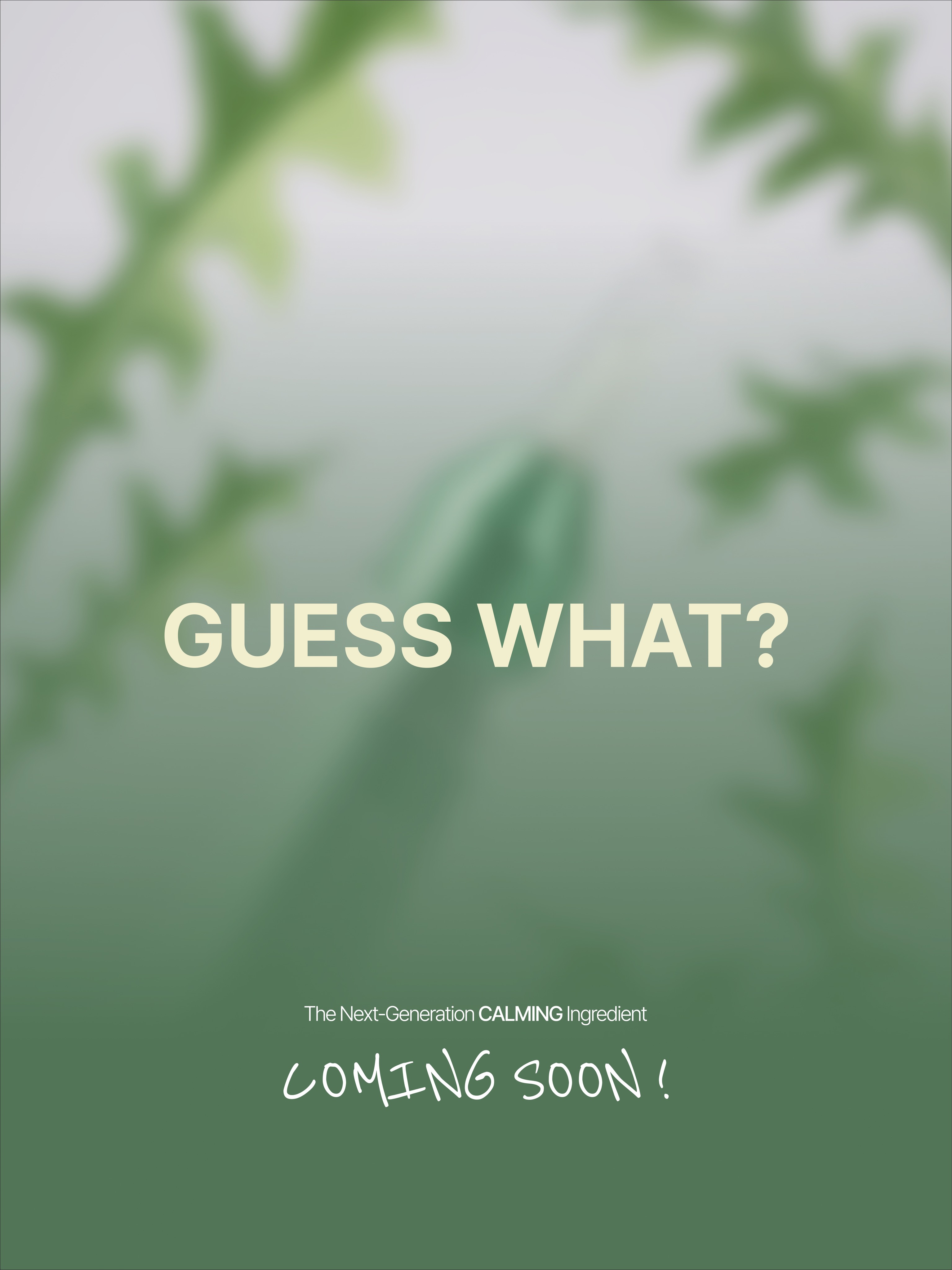 phhubby_official 品牌动态