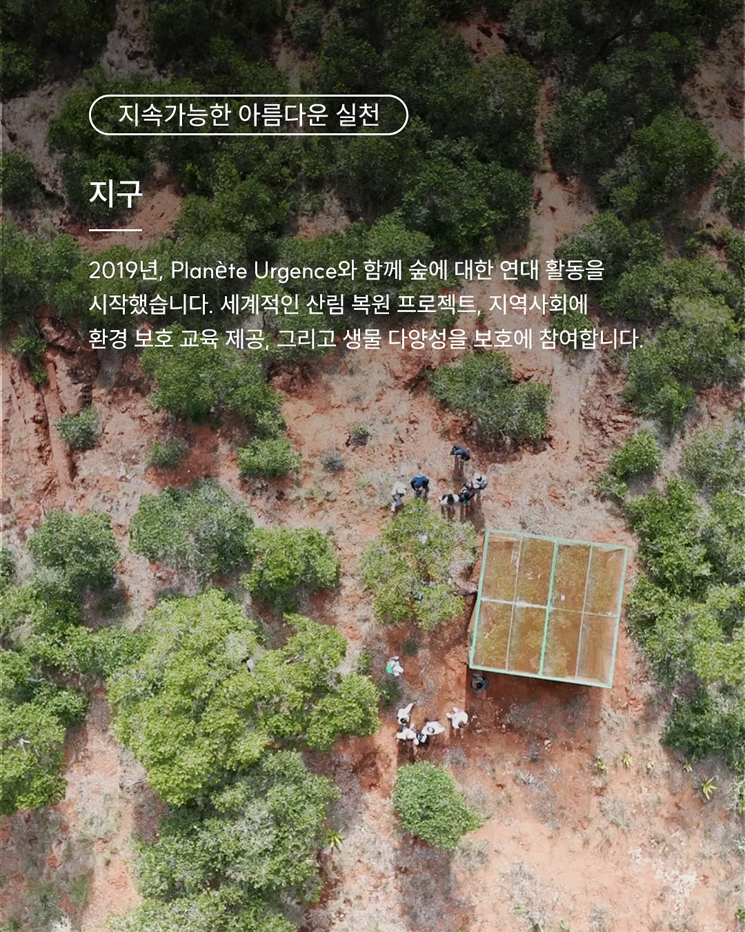 larosee_korea 品牌动态图片