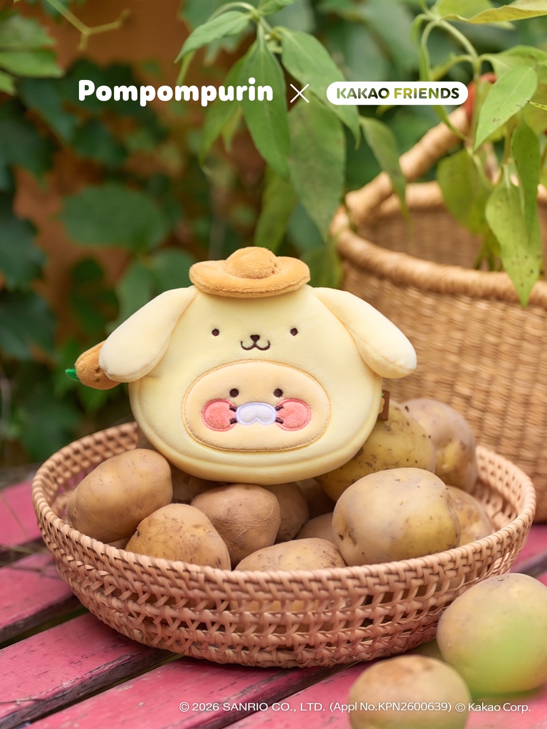 kakaofriends_official 品牌动态图片