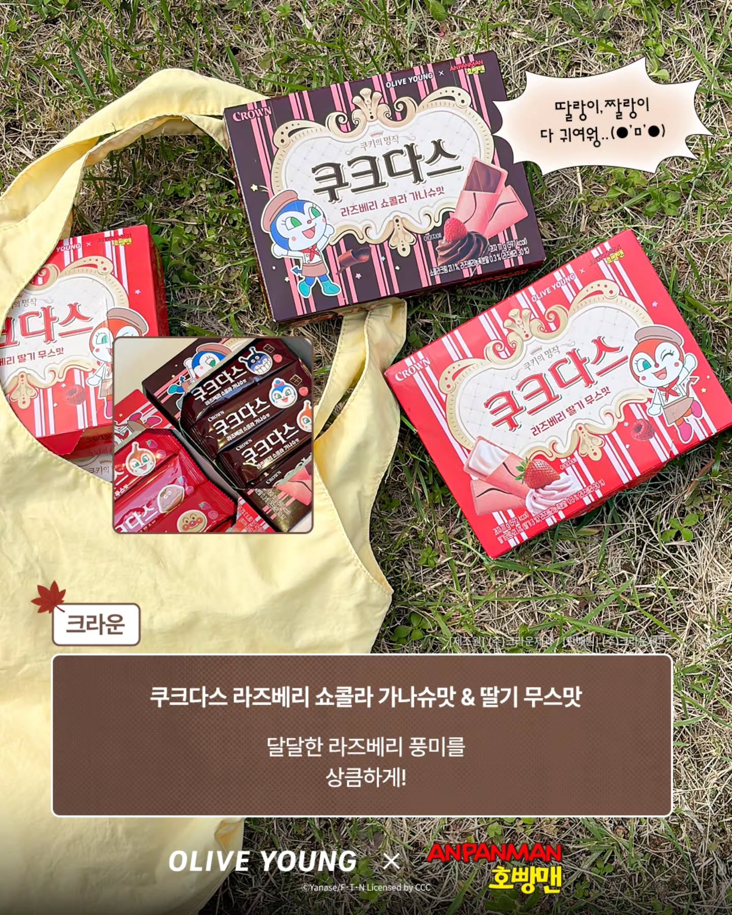 oliveyoung_official 品牌动态图片