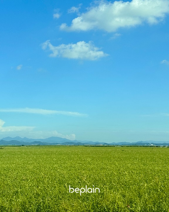 beplain_official 品牌动态