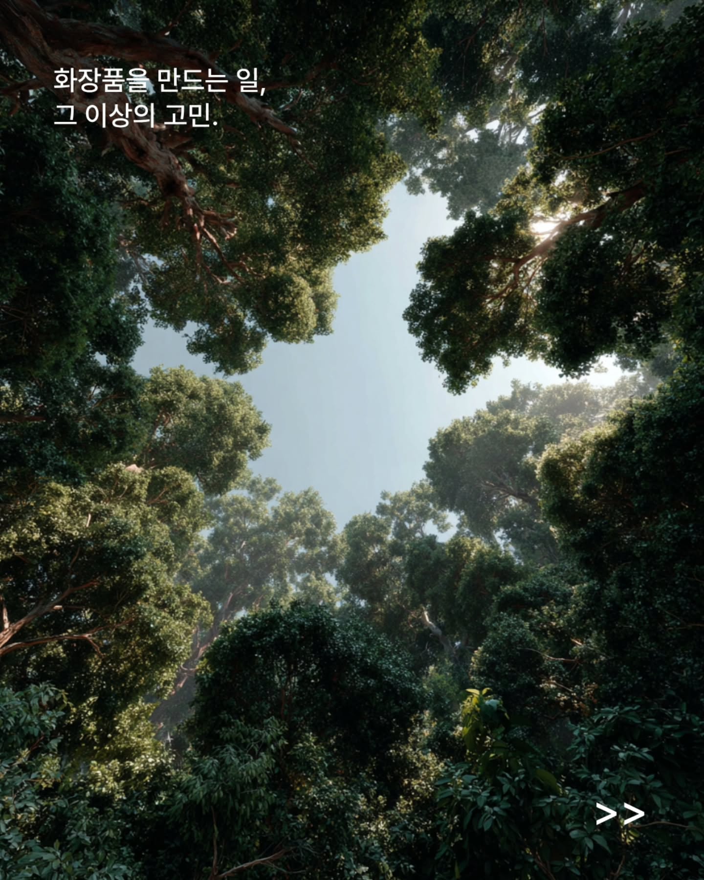 bonajour_official 品牌动态图片