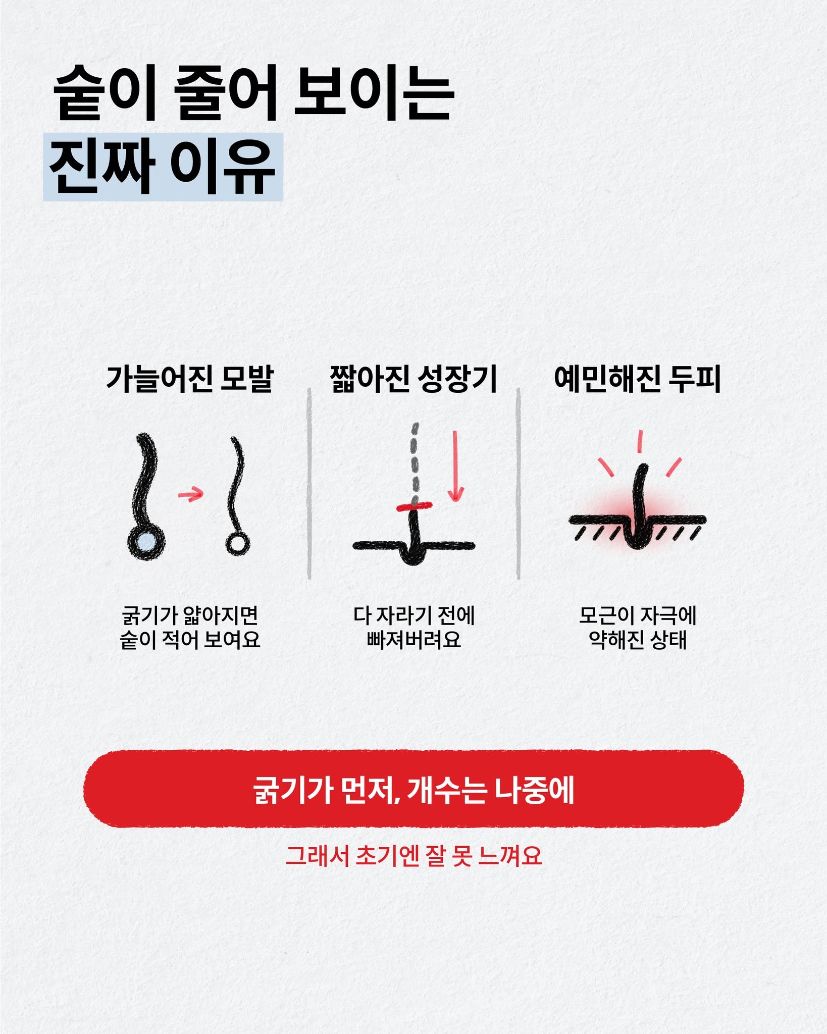 drforhair.kr 品牌动态图片