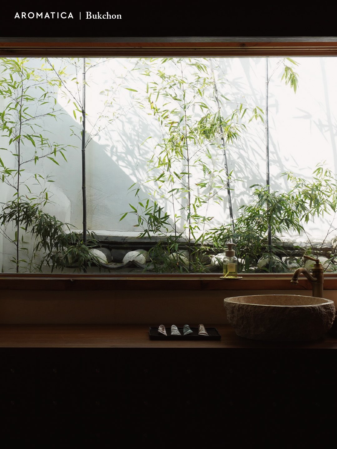aromatica.life 品牌动态图片