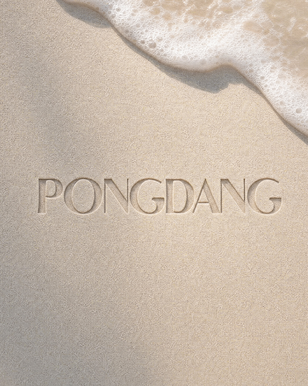 pongdang_official 品牌动态