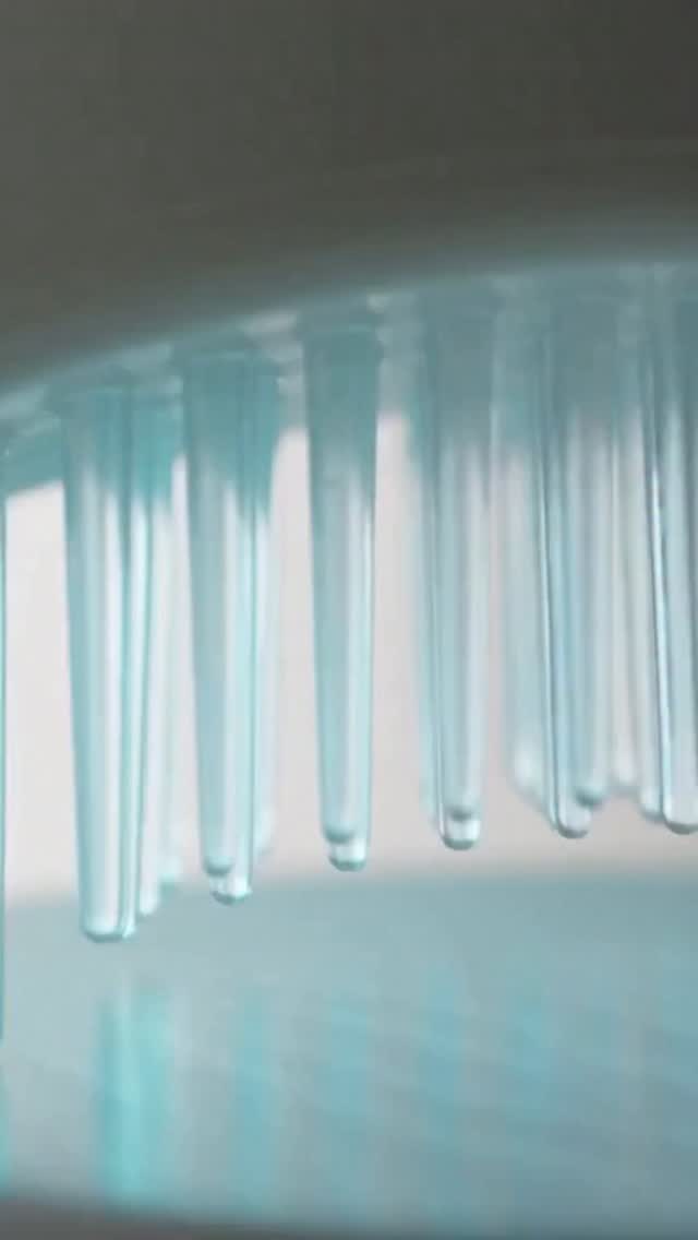lilyeve_global 品牌动态