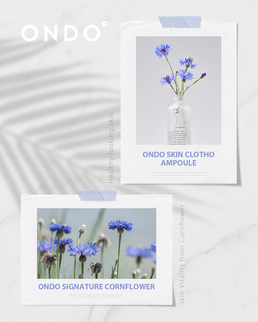 ondo_cosmetic 品牌动态
