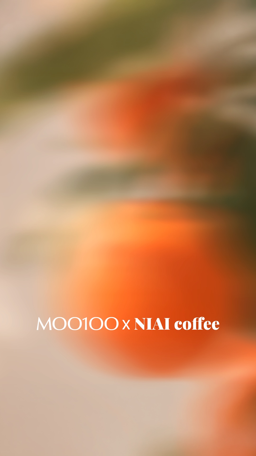 moo100_life 品牌动态