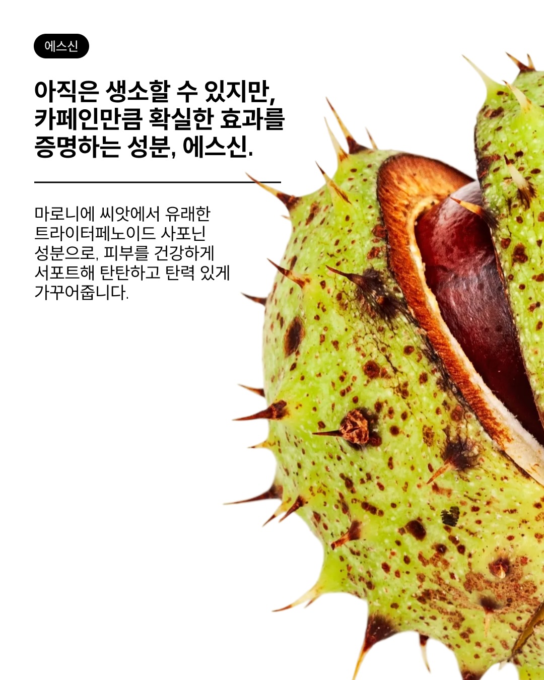 theordinarykorea 品牌动态图片