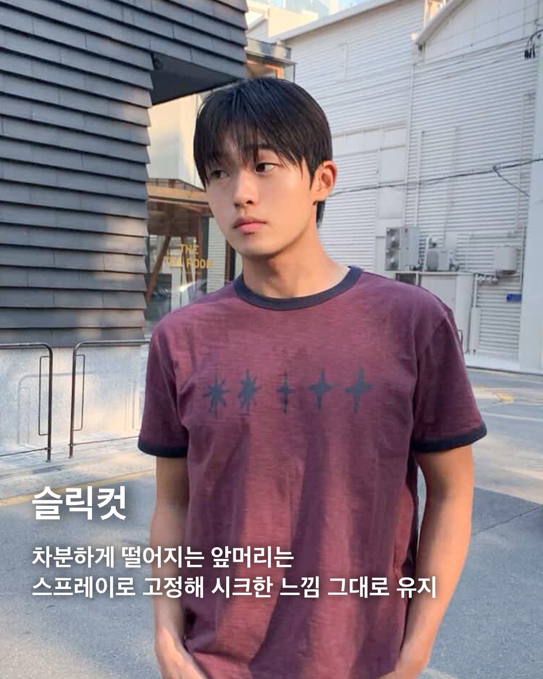dashu_official 品牌动态图片