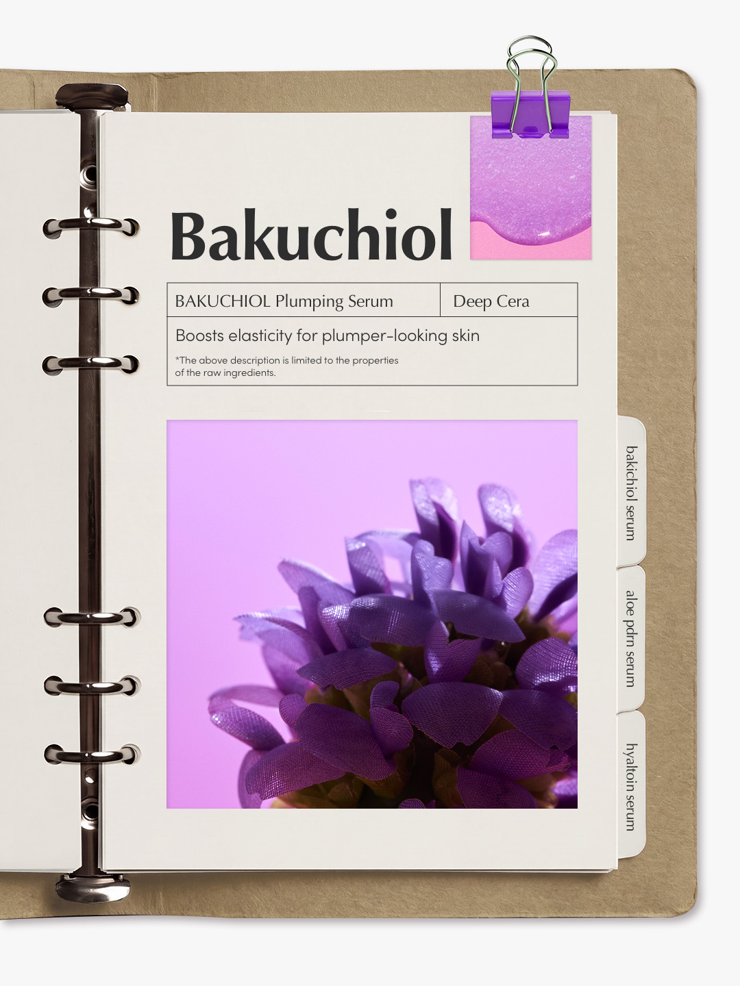 eqqualberry_global 品牌动态图片