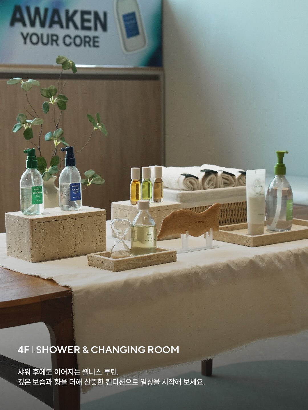 aromatica.life 品牌动态图片
