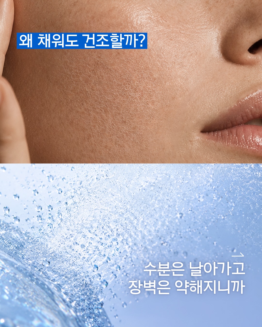 primera.official 品牌动态