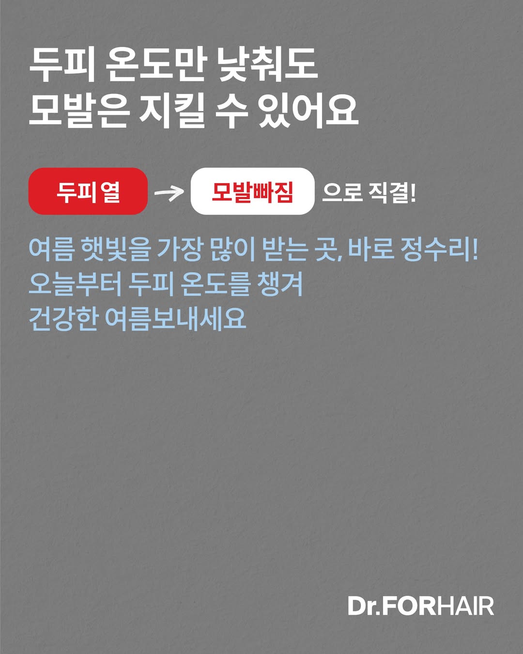 drforhair.kr 品牌动态图片