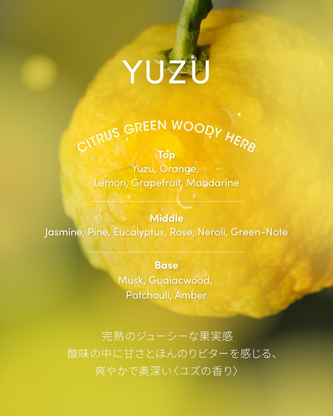 lagom_tokyo 品牌动态图片