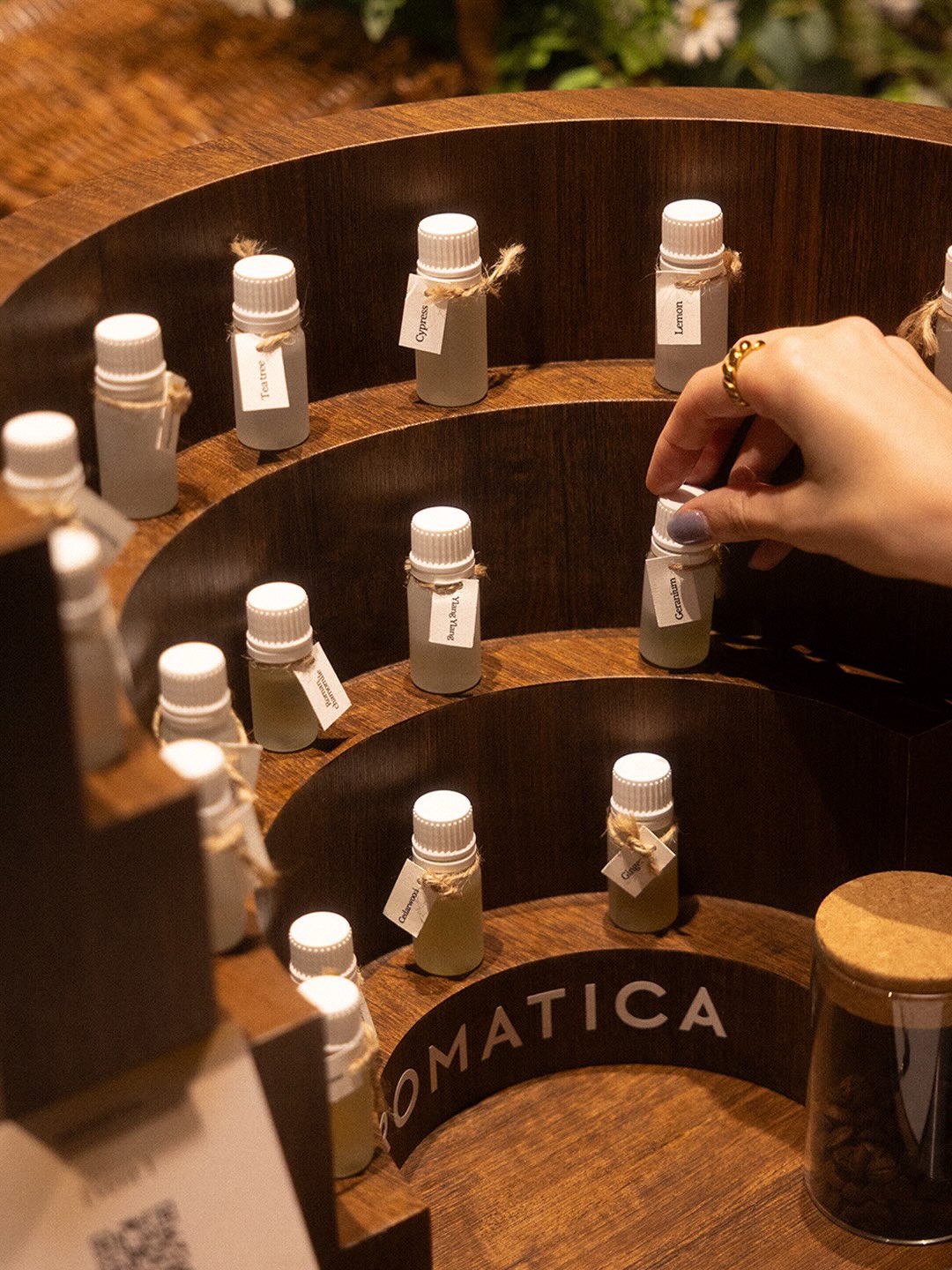aromatica.life 品牌动态图片