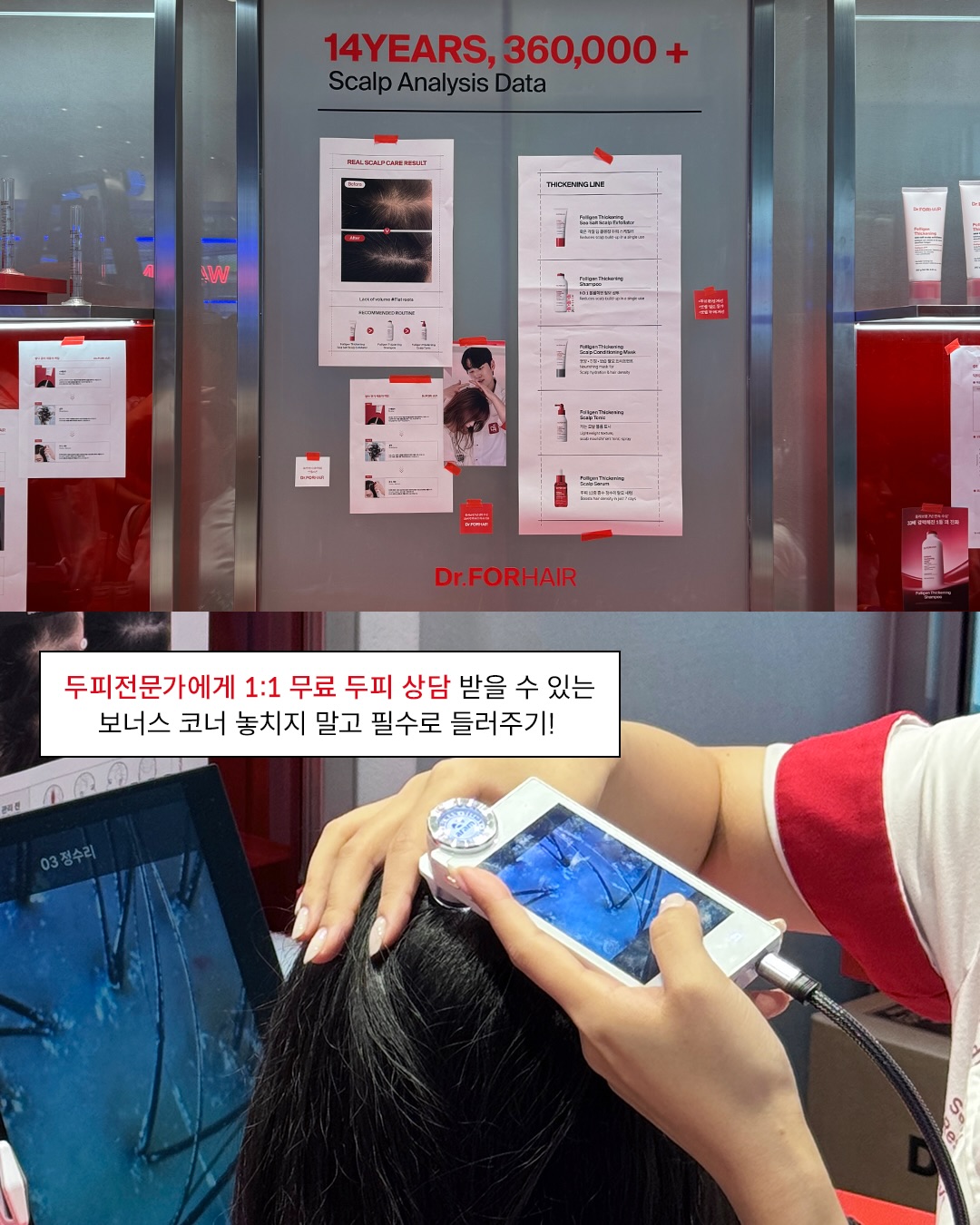 drforhair.kr 品牌动态图片