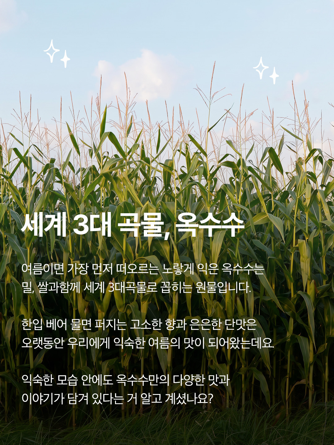 garumaster 品牌动态图片
