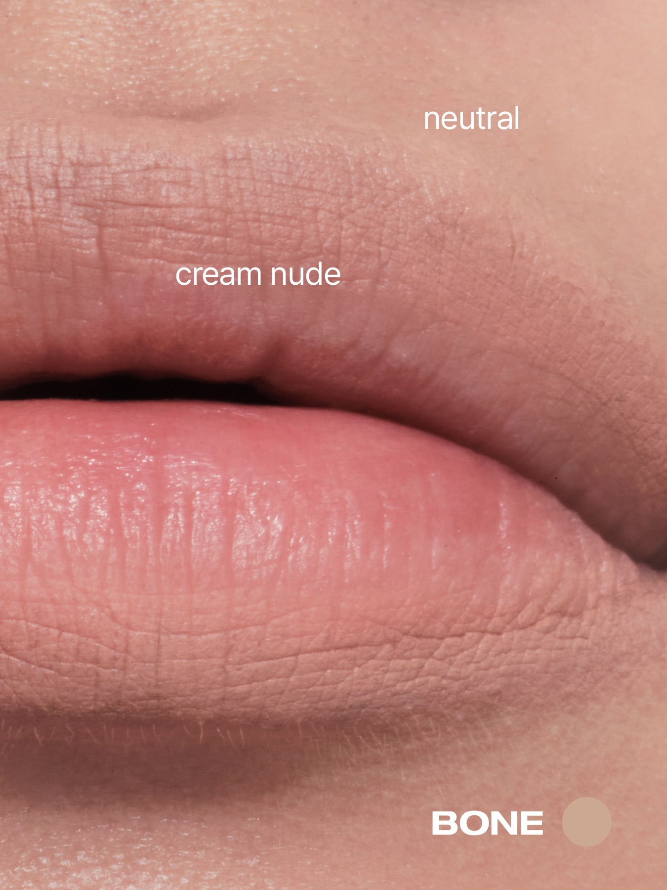 riskybeauty_official 品牌动态图片