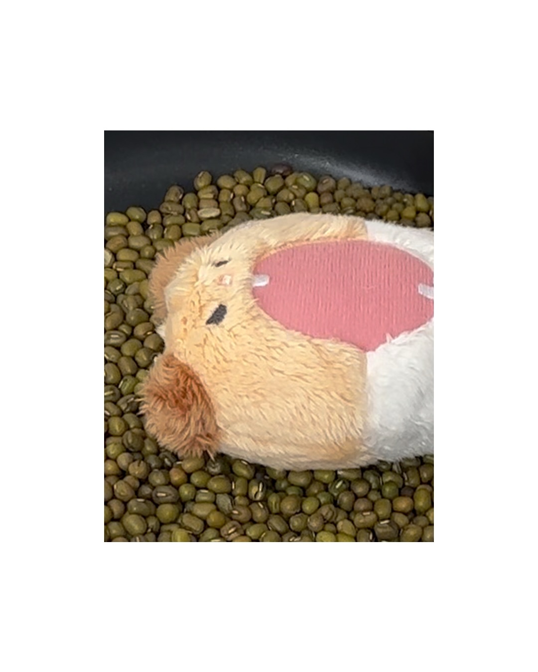 beplain_official 品牌动态图片