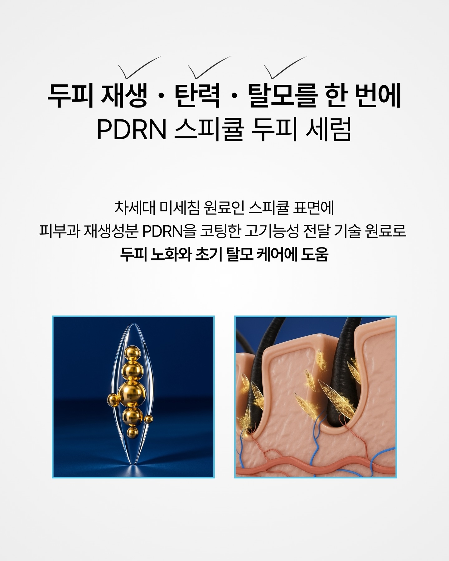 nesh.kr 品牌动态图片