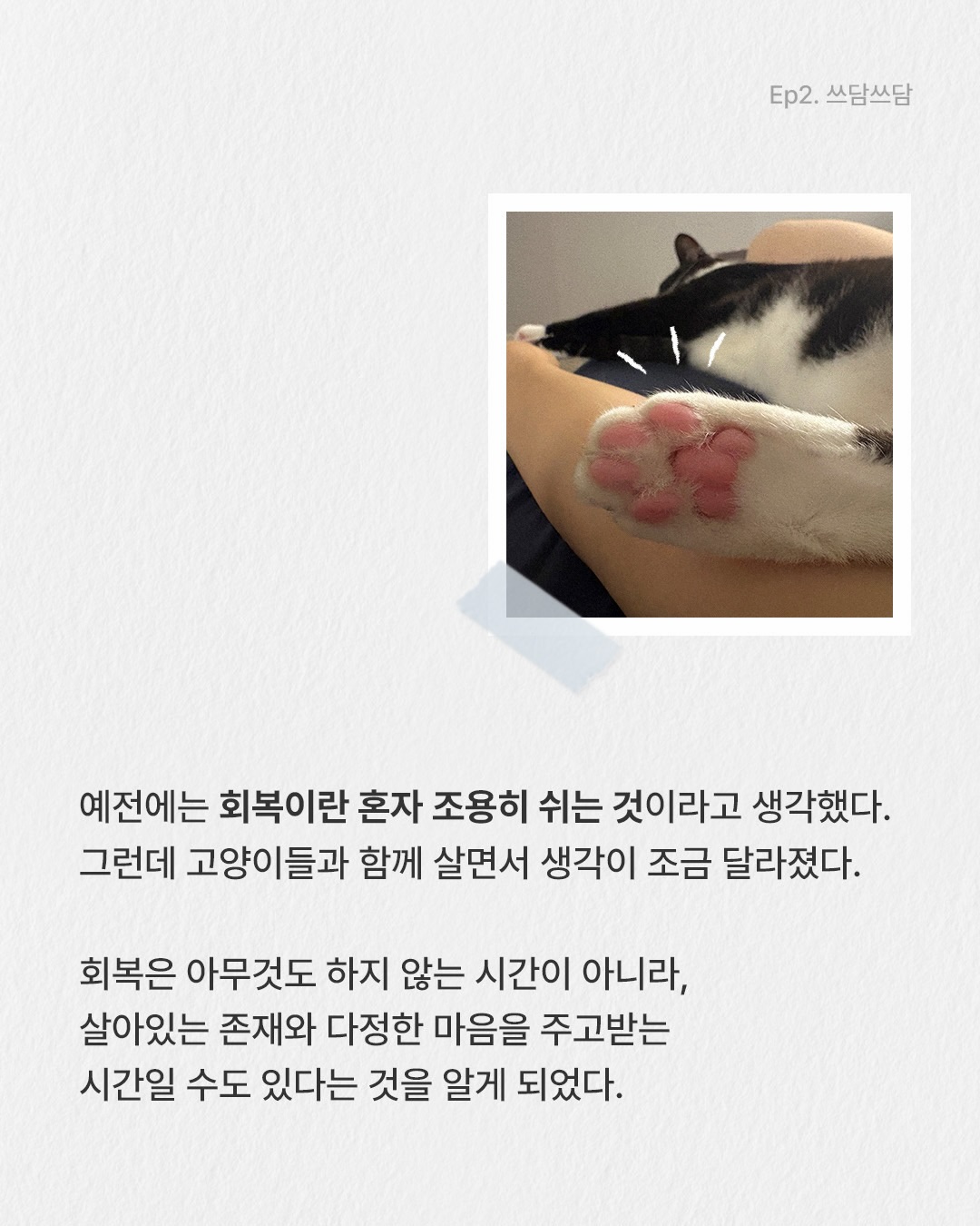 brka.official 品牌动态图片