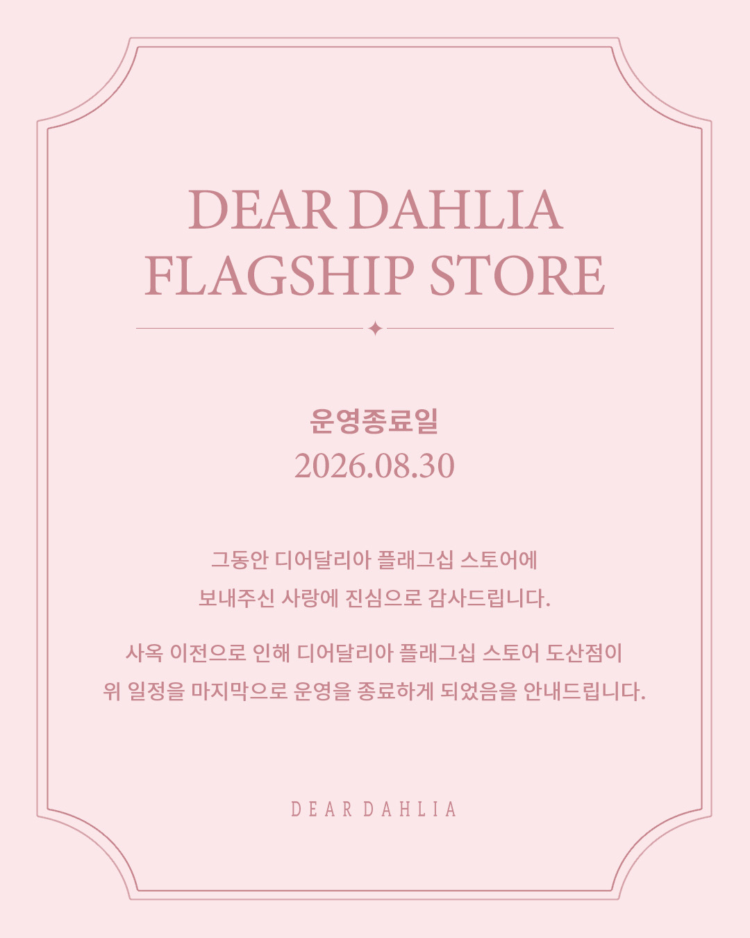 deardahlia_kr 品牌动态
