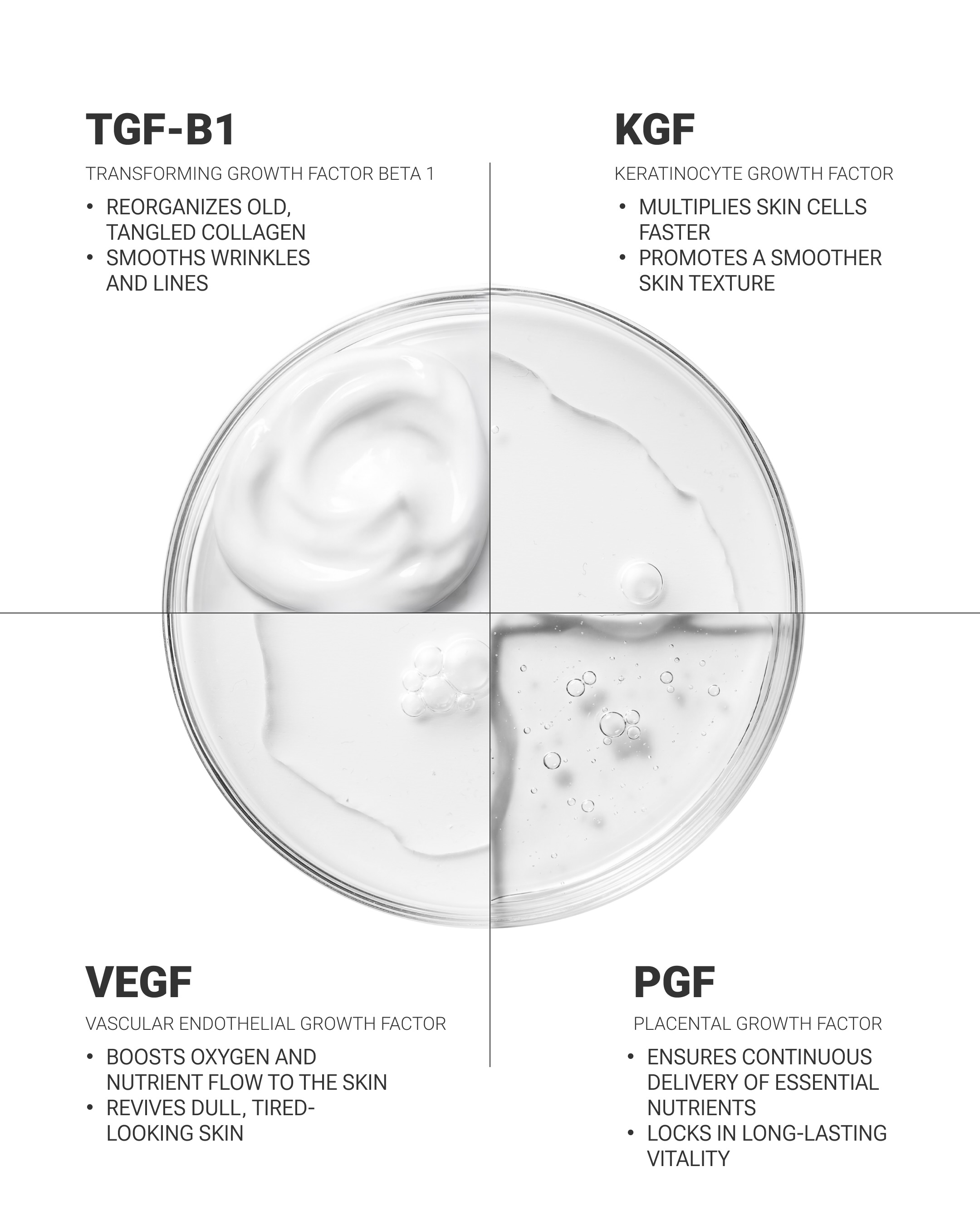 kopher_global 品牌动态图片