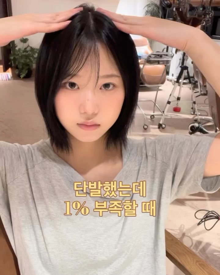 daleaf_korea 视频封面