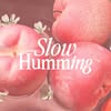 slowhumming_official Logo