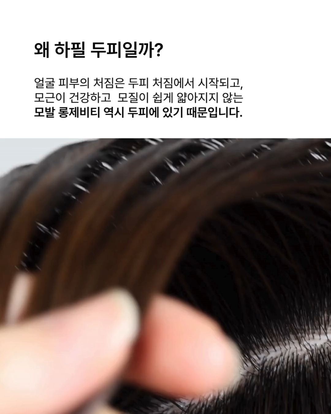 nesh.kr 视频封面