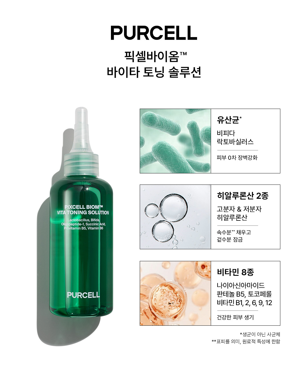 purcell.seoul 品牌动态