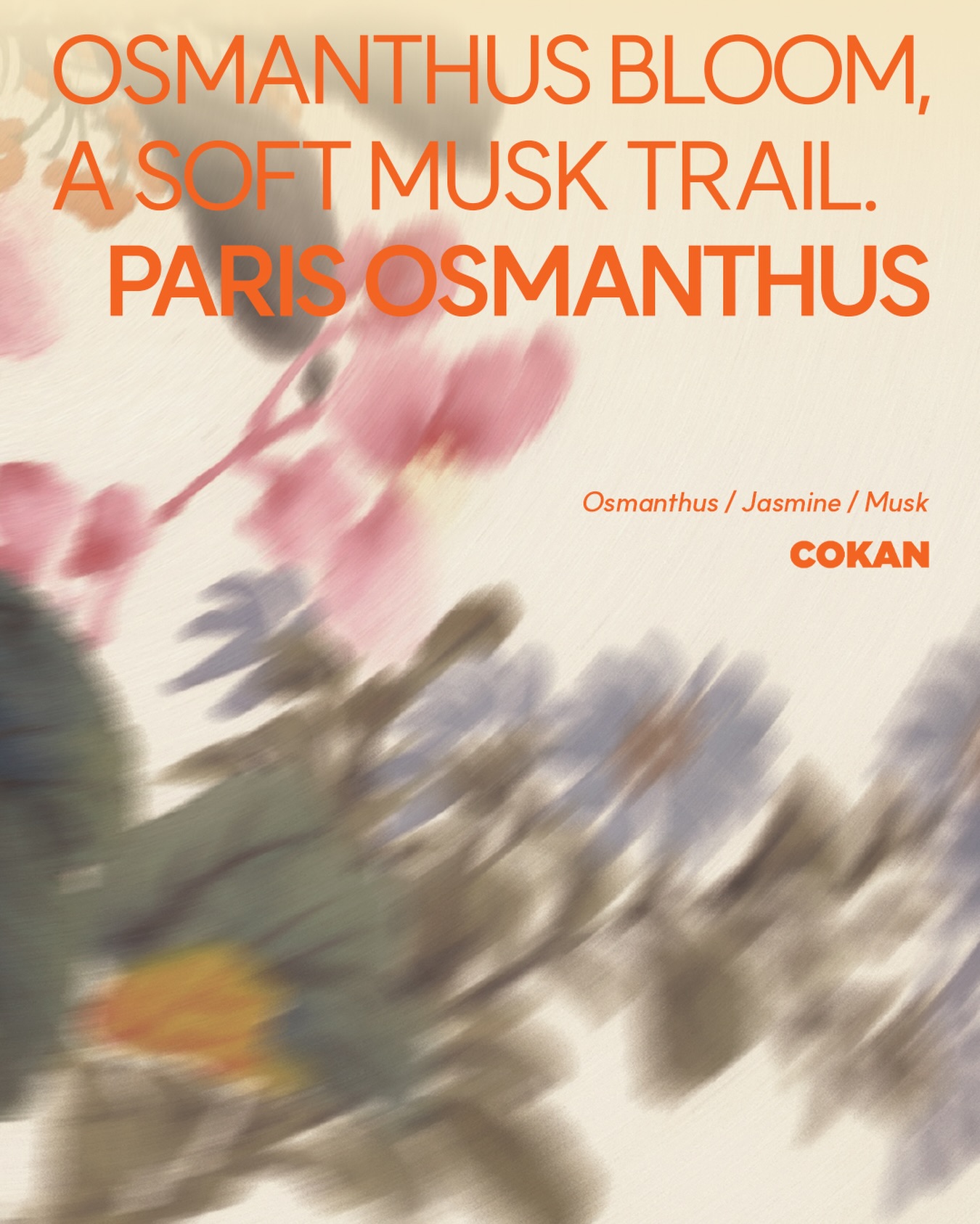cokan.official 品牌动态图片