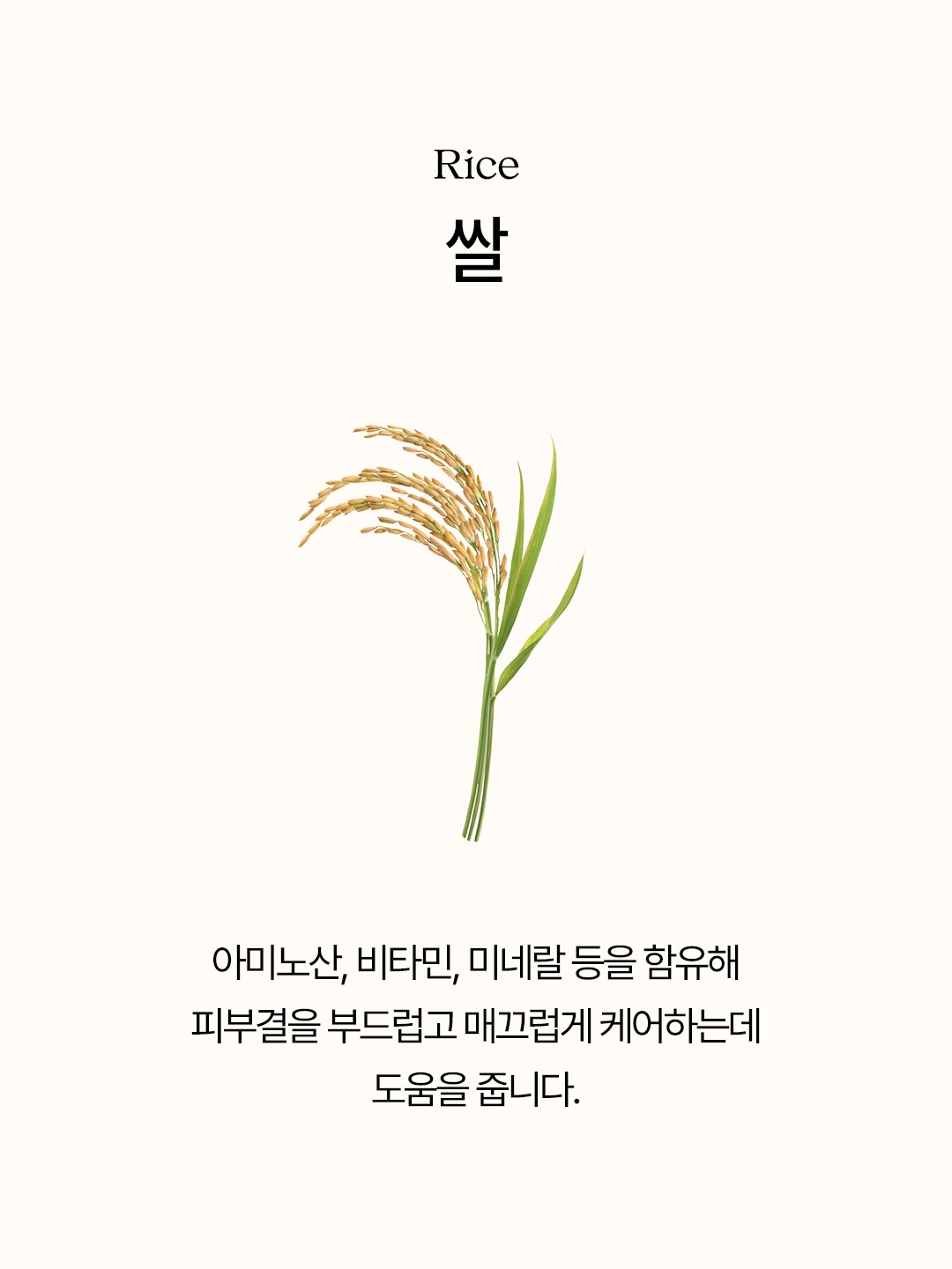 ndpskin.official 品牌动态图片