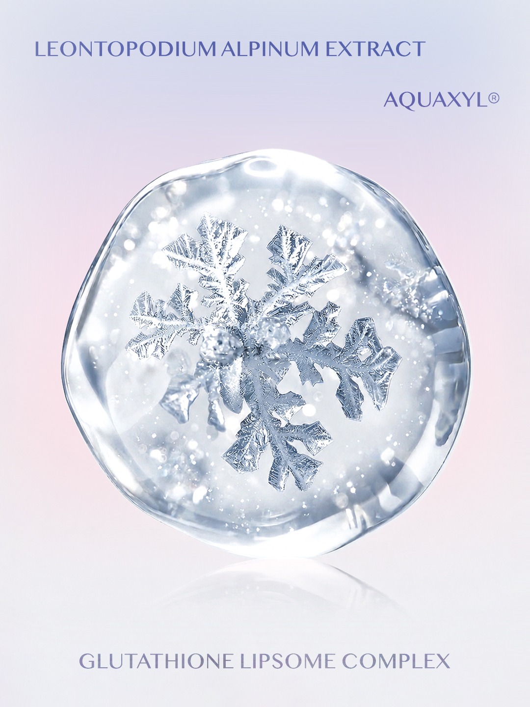 ataga_official 品牌动态