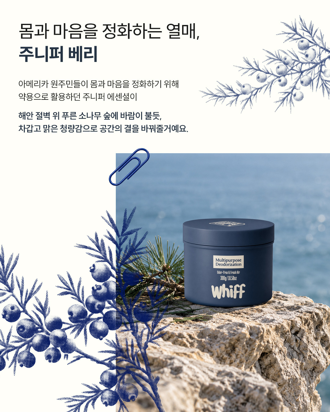 whiff.korea 品牌动态图片