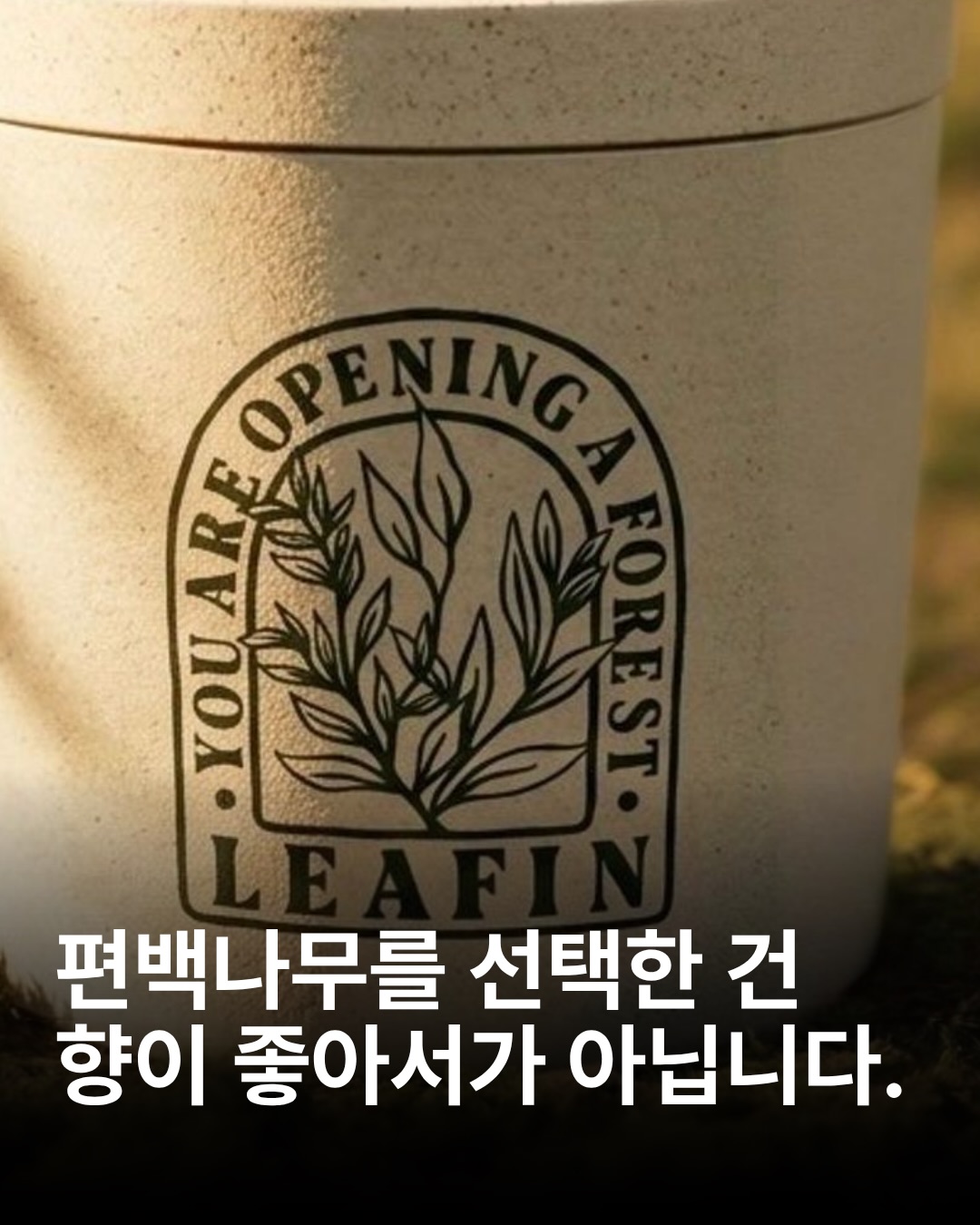leafin.official 品牌动态图片
