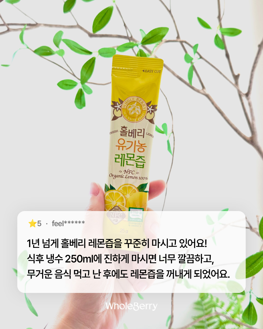 wholeberry.official 品牌动态图片