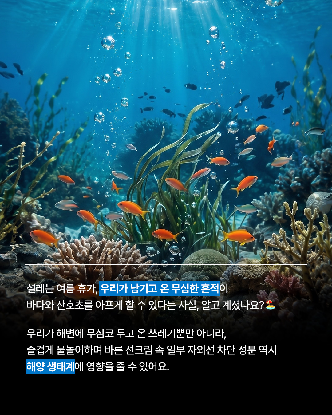 round.lab 品牌动态图片