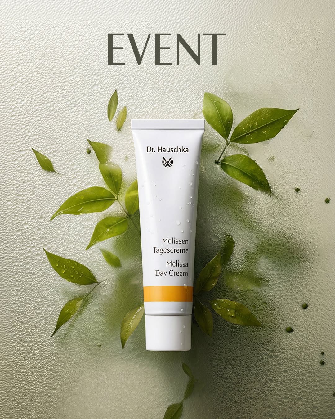 drhauschka.kr 品牌动态