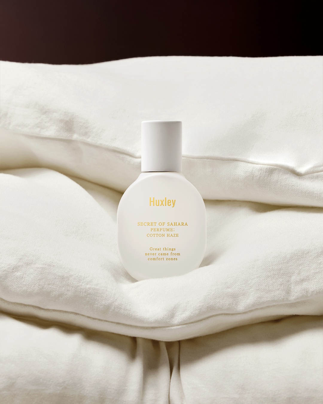 huxley_korea 品牌动态图片