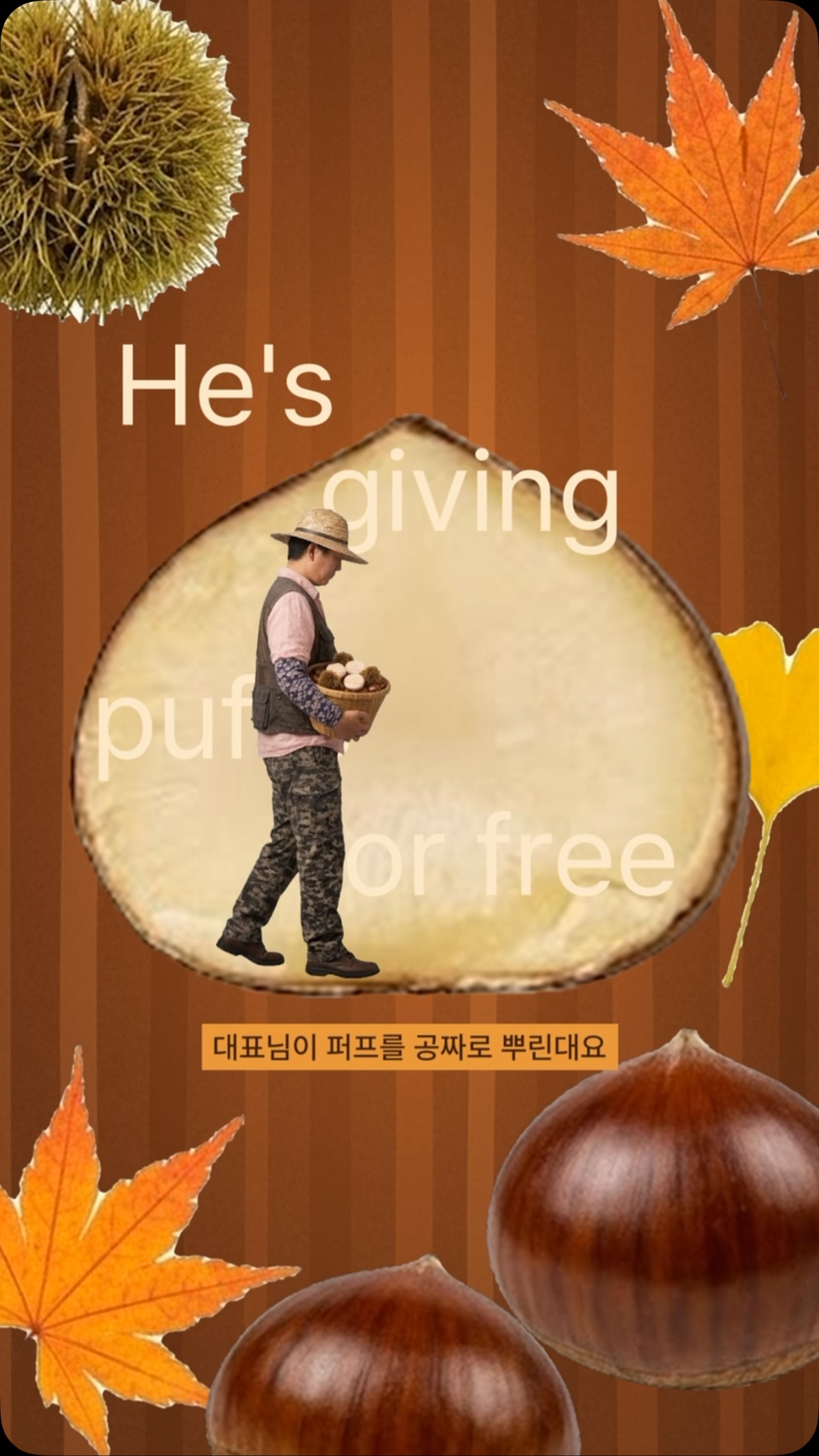hwahongm_official 品牌动态