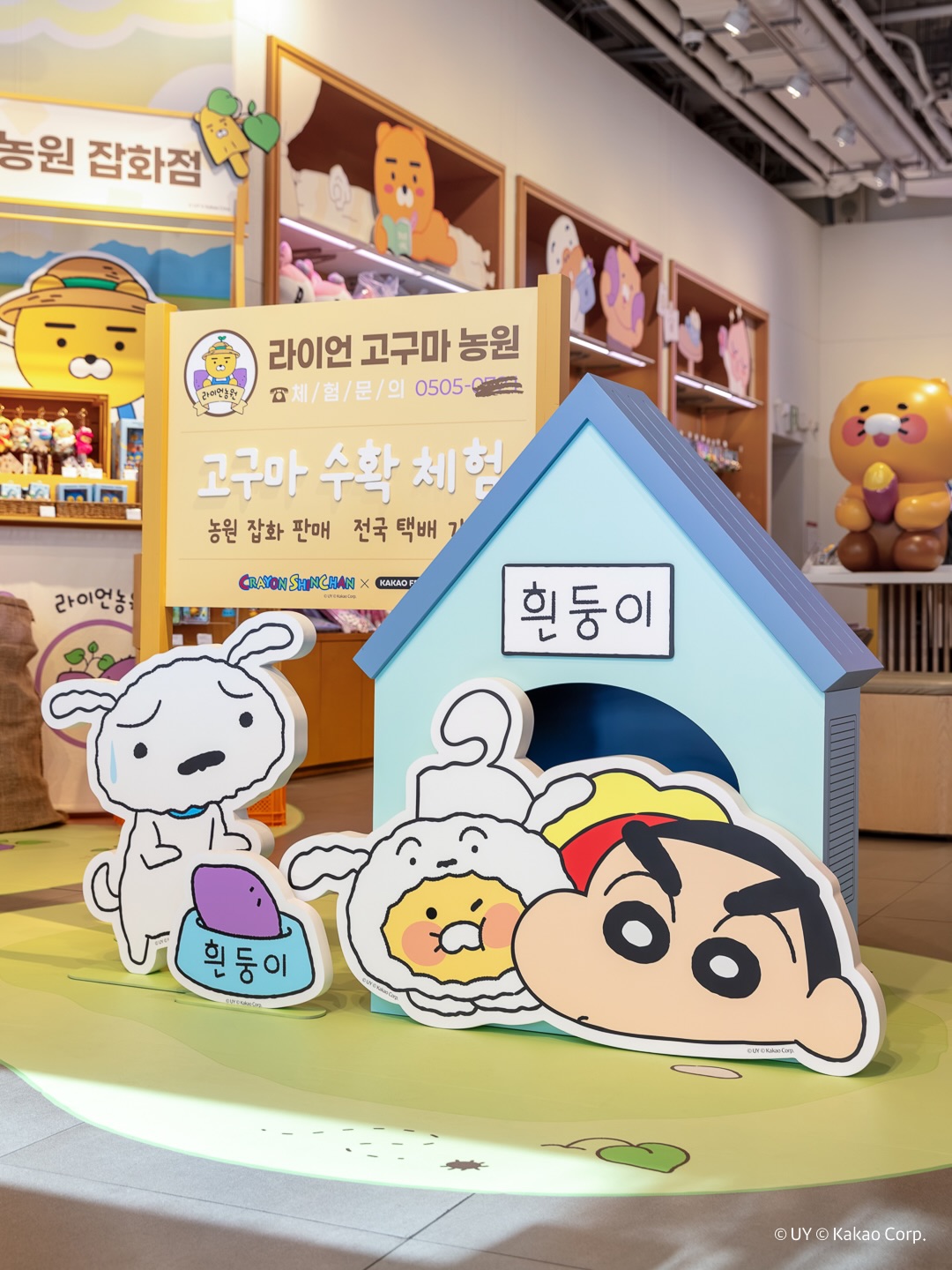 kakaofriends_official 品牌动态图片