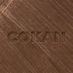 cokan.official Logo